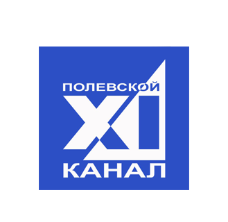 Телеканал 11 канал Полевской